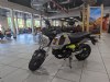 2023 Honda GROM - Cumberland - MD