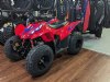 2024 Honda TRX90X - Cumberland - MD