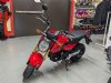 2025 Honda Grom Cherry Red, Cumberland, MD