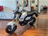 2025 Honda Grom Pearl White, Cumberland, MD