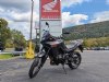 2024 Honda Transalp - Cumberland - MD