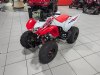 2024 Honda TRX250X - Cumberland - MD